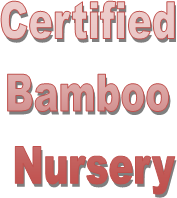 Certified 
Bamboo 
Nursery