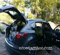 bamboo in car