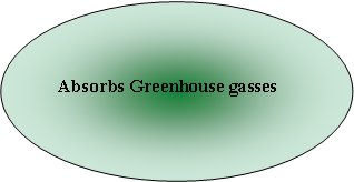 Oval: Absorbs Greenhouse gasses